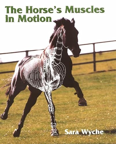 The Horse's Muscles in Motion - Click to Buy