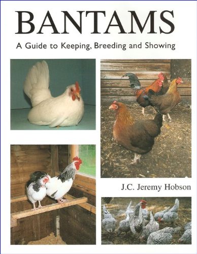Bantams: A Guide to Keeping, Breeding and Showing - Click to Buy