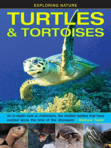 Exploring Nature: Turtles & Tortoises: An In-Depth Look At Chelonians, The Shelled Reptiles That Have Existed Since The Time Of The Dinosaurs - Click to Buy