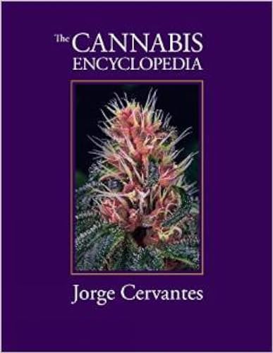 The Cannabis Encyclopedia: The Definitive Guide to Cultivation & Consumption of Medical Marijuana - Click to Buy