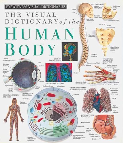 Eyewitness Visual Dictionaries: The Visual Dictionary of the Human Body - Click to Buy