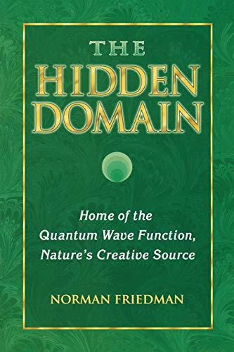 The Hidden Domain: Home of the Quantum Wave Function, Nature's Creative Source - Click to Buy