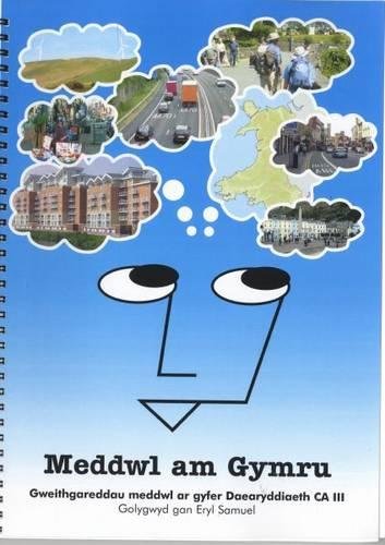 Meddwl Am Gymru (Welsh Edition)