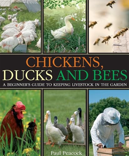 Chickens, Ducks and Bees: A beginner's guide to keeping livestock in the garden - Click to Buy