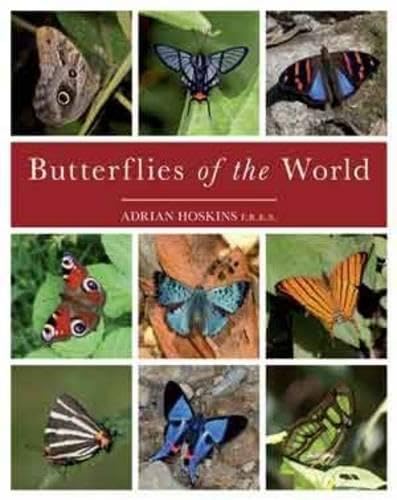 Butterflies of the World - Click to Buy