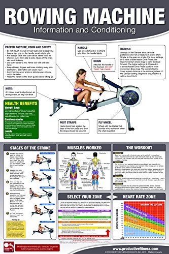 Rowing Machine Poster/Chart: How to use a rower - How to use an Erg - Full Body Workout Laminated - 24x36 inches - Click to Buy