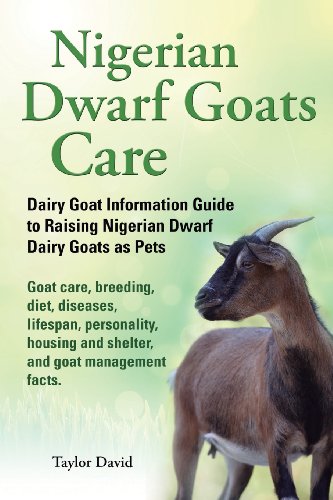Nigerian Dwarf Goats Care: Dairy Goat Information Guide to Raising Nigerian Dwarf Dairy Goats as Pets. Goat care, breeding, diet, diseases, lifespan, ... and shelter, and goat management facts.