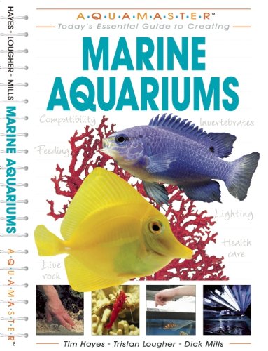 Marine Aquariums: Today's Essential Guide to Creating Marine Aquariums - Click to Buy