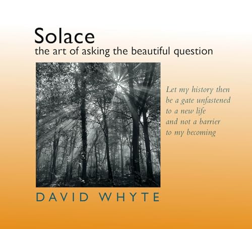 Solace: The Art of Asking the Beautiful Question - Click to Buy
