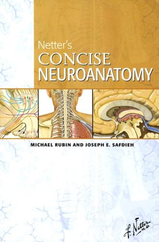 Netter's Concise Neuroanatomy (Netter Basic Science) - Click to Buy