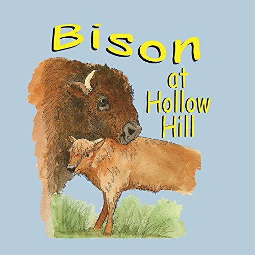 Bison at Hollow Hill - Click to Buy
