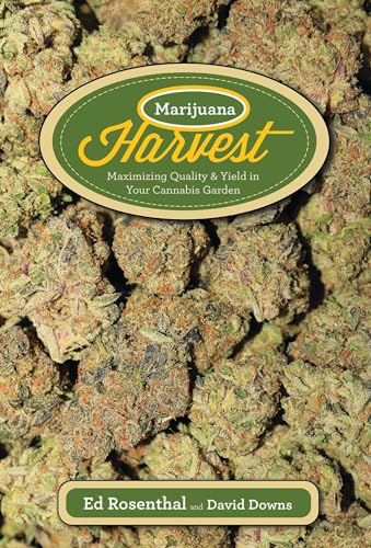 Marijuana Harvest: How to Maximize Quality and Yield in Your Cannabis Garden