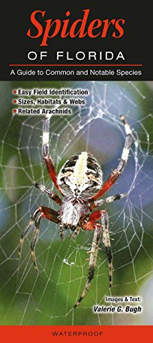 Spiders of Florida - Click to Buy