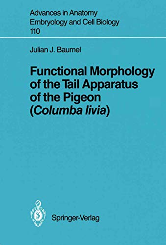 Functional Morphology of the Tail Apparatus of the Pigeon (Columba livia) (Advances in Anatomy, Embryology and Cell Biology, 110)