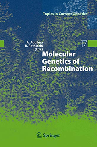 Molecular Genetics of Recombination (Topics in Current Genetics, 17) - Click to Buy