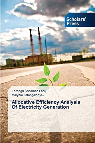 Allocative Efficiency Analysis Of Electricity Generation - Click to Buy