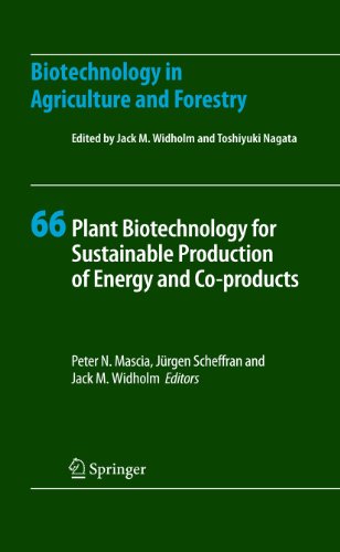 Plant Biotechnology for Sustainable Production of Energy and Co-products - Click to Buy
