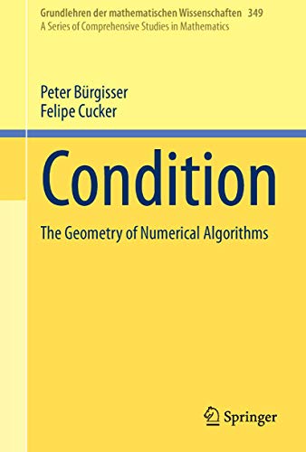 Condition: The Geometry of Numerical Algorithms: 349 (Grundlehren der mathematischen Wissenschaften)