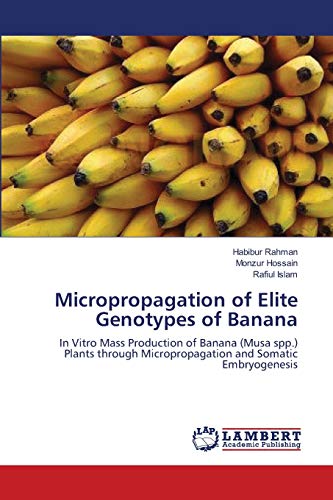 Micropropagation of Elite Genotypes of Banana: In Vitro Mass Production of Banana (Musa spp.) Plants through Micropropagation and Somatic Embryogenesis - Click to Buy