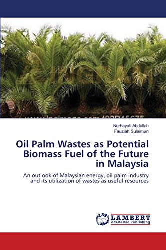 Oil Palm Wastes as Potential Biomass Fuel of the Future in Malaysia: An outlook of Malaysian energy, oil palm industry and its utilization of wastes as useful resources - Click to Buy