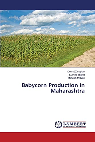 Babycorn Production in Maharashtra - Click to Buy