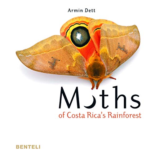 MOTHS OF COSTA RICA S RAINFOREST - Click to Buy