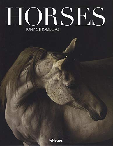Horses - Click to Buy
