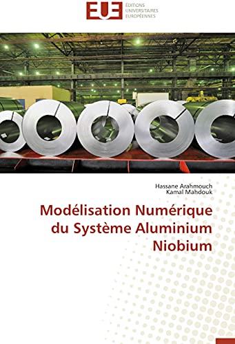 Modélisation Numérique du Système Aluminium Niobium (Omn.Univ.Europ.) (French Edition)