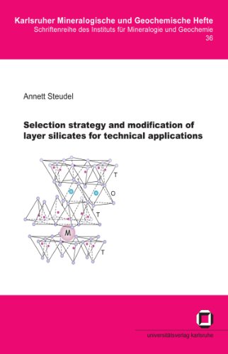Selection strategy and modification of layer silicates for technical applications