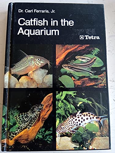 Catfish in the Aquarium - Click to Buy