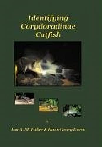 Identifying Corydoradine Catfish - Click to Buy