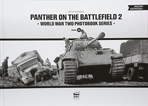 Panther on the Battlefield 2 (2) - Click to Buy