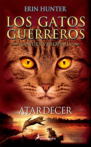 Atardecer / Sunset - Click to Buy