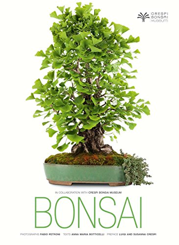 Bonsai - Click to Buy