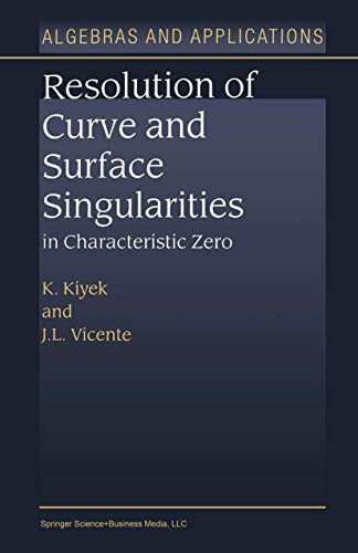 Resolution of Curve and Surface Singularities in Characteristic Zero: in Characteristic Zero (Algebra and Applications)