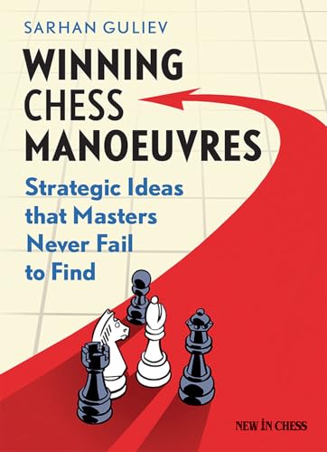 Winning Chess Manoeuvres: Strategic Ideas that Masters Never Fail to Find - Click to Buy