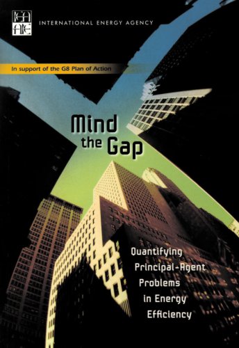 Mind the Gap: Quantifying Principal-Agent Problems in Energy Efficiency - Click to Buy