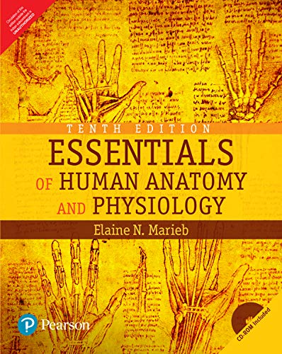 Essentials Of Human Anatomy And Physiology - Click to Buy