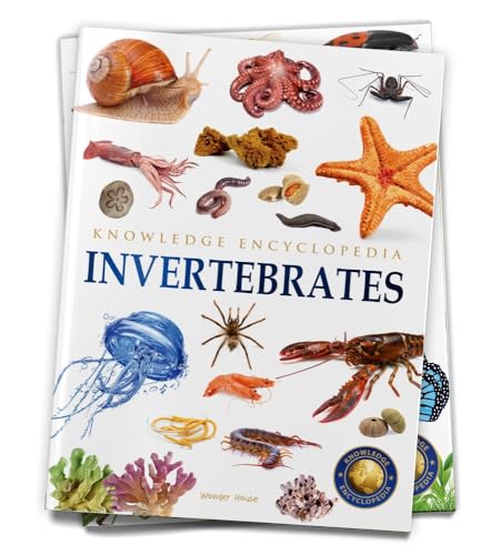 Animals: Invertebrates (Knowledge Encyclopedia For Children) - Click to Buy