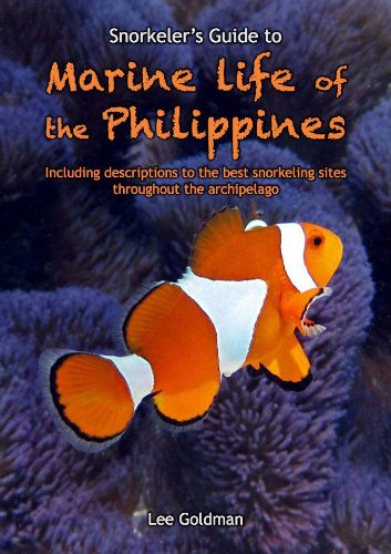 Snorkeler's Guide to Marine Life of the Philippine - Click to Buy