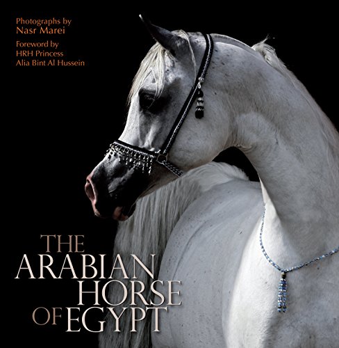 The Arabian Horse of Egypt - Click to Buy