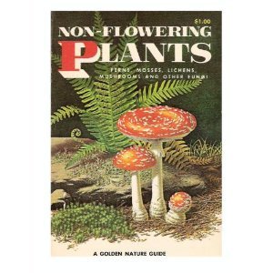 NON-FLOWERING PLANTS-A GOLDEN NATURE GUIDE-(OVER 4