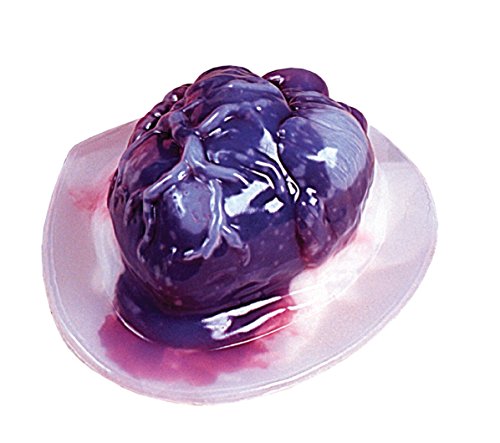 Fun World Heart Jello Mold Halloween Decoration - Make Your Own Gelatin Hearts - Terrify Your Friends, Kids and Halloween Party Guests - Click to Buy