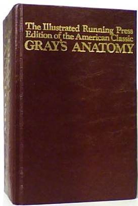 Grays Anatomy 1901 Edition - Click to Buy