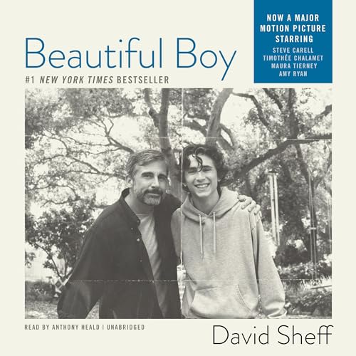 Beautiful Boy: A Father's Journey through His Son's Meth Addiction - Click to Buy