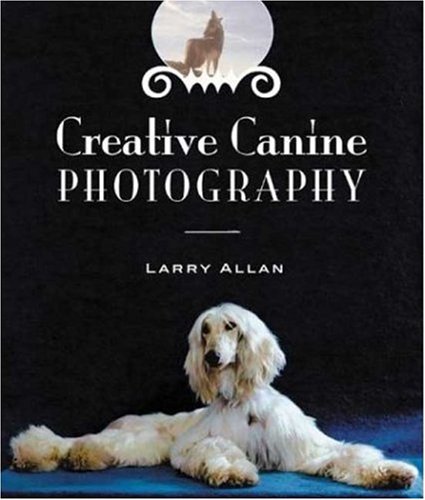 Creative Canine Photography - Click to Buy