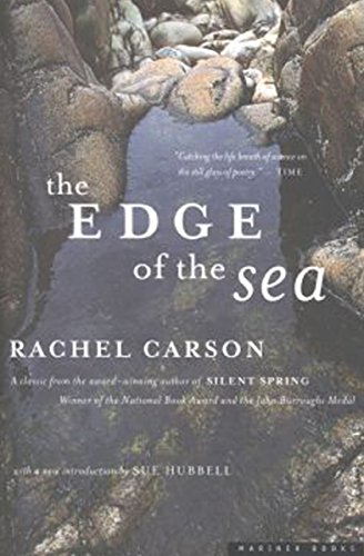 The Edge of the Sea - Click to Buy