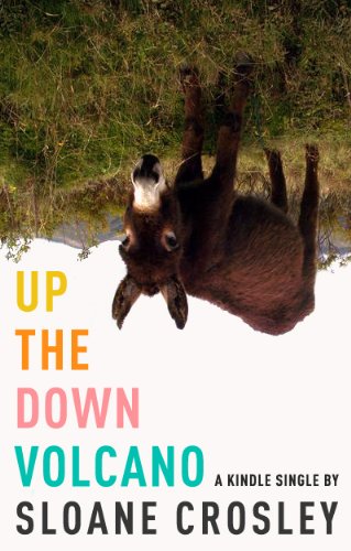 Up the Down Volcano (Kindle Single) - Click to Buy