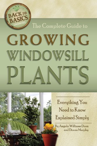 The Complete Guide to Growing Windowsill Plants: Everything You Need to Know Explained Simply