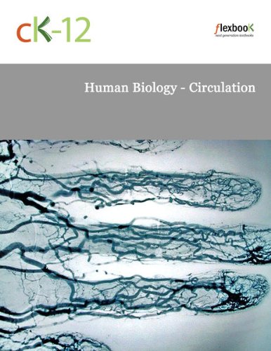 Human Biology - Circulation